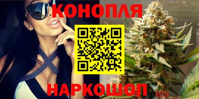 сатива Севастополь