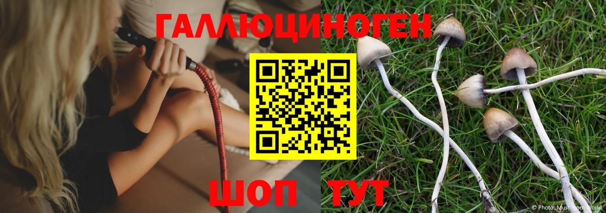 Обь  Галлюциногенные грибы мухоморы  Вход с VPN 